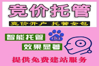 某行业SEM投放效果显著案例分享